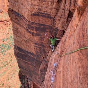 Meet your Posher, Hector